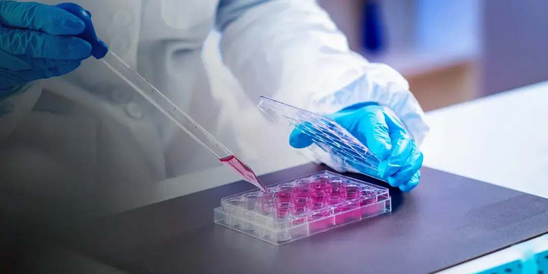 Stem Cell Therapy